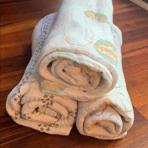 Aden and Anais x Honest co Swaddle Set